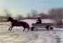 Video: 1 Horsepower drifting