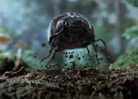 2012 Volkswagen Beetle Teaser Video
