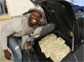 Video: 50 Cent Fills Lamborghini With 2 Million USD