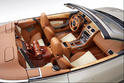 Q Aston Martin DB9 Volante Equestrian 3