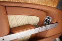 Q Aston Martin DB9 Volante Equestrian 7