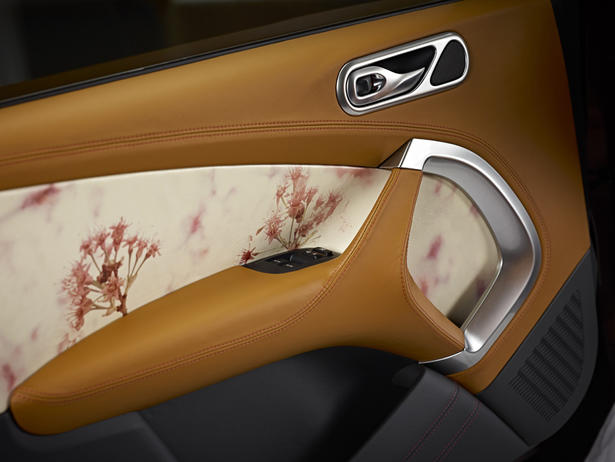 Q by Aston Martin Personalization Program