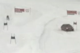 Audi S4 vs skier