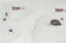Audi S4 vs skier