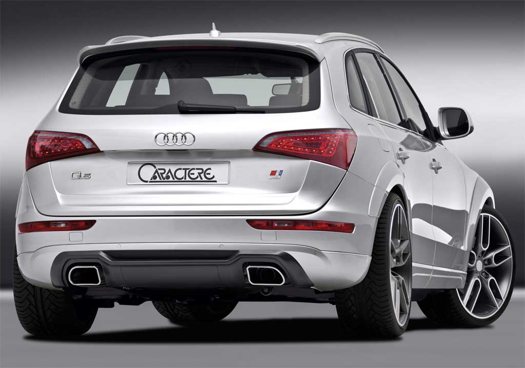 Caractere-Audi-Q5-4.jpg