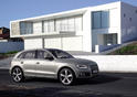 2013 Audi Q5 23