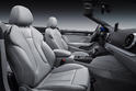 2014 Audi A3 Cabrio 15