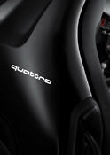 Audi A1 quattro 48