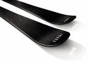 Audi Carbon Ski 5