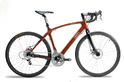 Audi Hardwood Bicycle 4