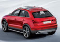 Audi Q3 Vail 18