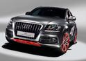 Audi Q5 custom concept 16