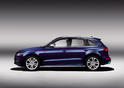 Audi SQ5 16