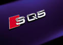Audi SQ5 29