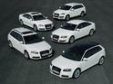 Audi clean diesel 1