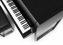 Audi grand piano 4