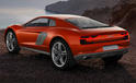 Audi nanuk quattro 2