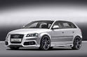 Caractere 2009 Audi A3 3