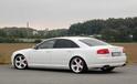 Mariani Audi S8 V10 3