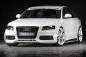 Rieger Audi A4 B8 2