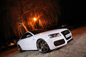 Senner Audi S5 19