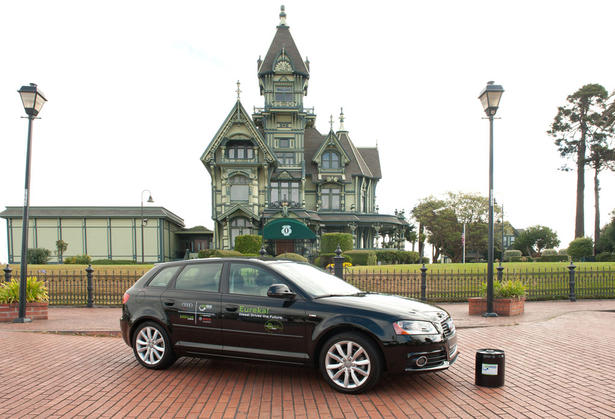 Audi A3 TDI RenDiesel
