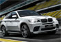 BMW X6 Performance Unlimited