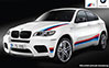 BMW X6M Design Edition Leaked