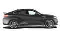AC Schnitzer BMW X6M 14