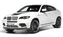 AC Schnitzer BMW X6M 21