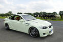 AC Schnitzer GP310 GAS POWERED 19