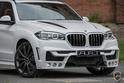 ART 2014 BMW X5 19
