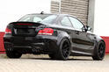 Alpha N BMW 1 Series M RS 2