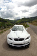 Alpha N BMW 335i 11