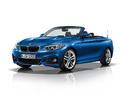 BMW 2 Series Convertible 26