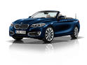 BMW 2 Series Convertible 27