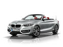 BMW 2 Series Convertible 29