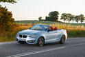 BMW 2 Series Convertible 52
