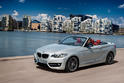 BMW 2 Series Convertible 87