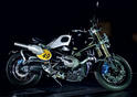 BMW Lo Rider 10