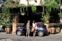 BMW Movies 5
