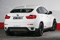 BMW X6 White Shark 6