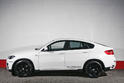 BMW X6 White Shark 9