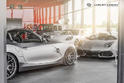 Carlex BMW Z4 M 12
