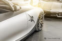 Carlex BMW Z4 M 4