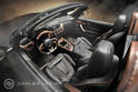 Carlex BMW Z4 Steampunk 2