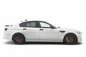 Hamann BMW M5 F10 4