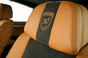 Hamann BMW X6M Carbon 17