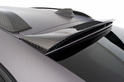 Hamann BMW X6M Carbon 25