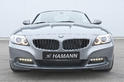 Hamann BMW Z4 22